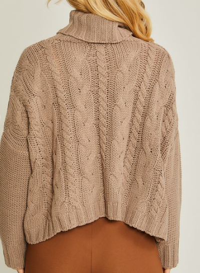 Turtleneck Sweater